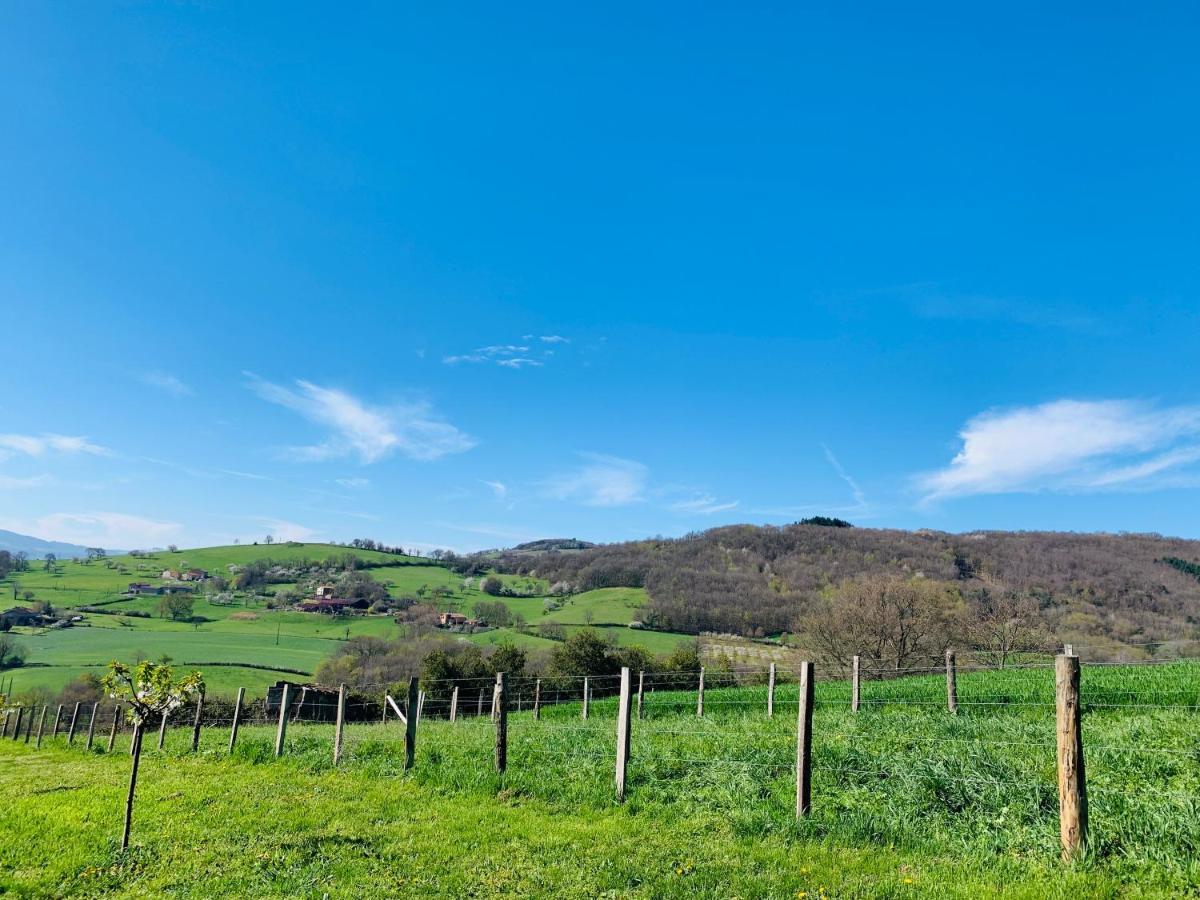 Homestay Belle Vue